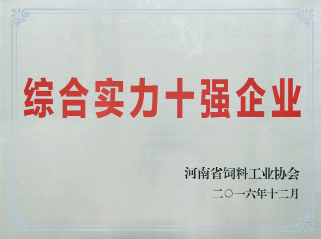 綜合實力十強企業(yè)